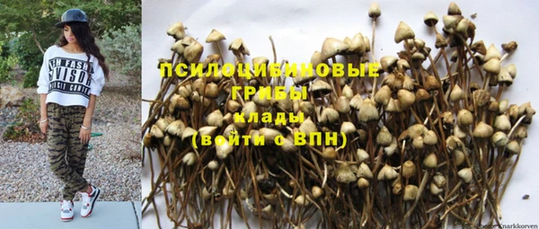 MDMA Premium VHQ Снежногорск