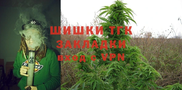 индика Абдулино
