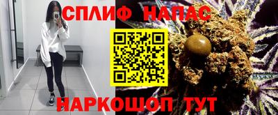 гидра Малоярославец