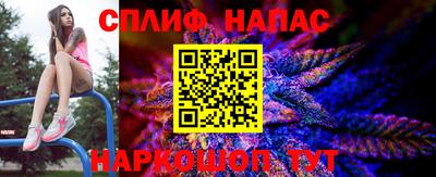 гидра Малоярославец