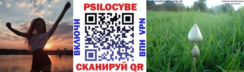Псилоцибиновые грибы мицелий  Кудымкар 